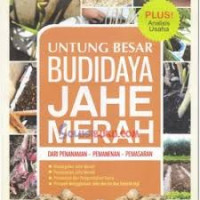 UNTUNG BESAR BUDIDAYA JAHE MERAH.BI