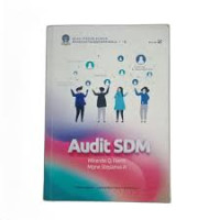 AUDIT SDM
