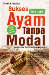 SUKSES TERNAK AYAM TANPA MODAL BI