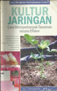 kultur jaringan cara memperbanyak tanaman secara efesien